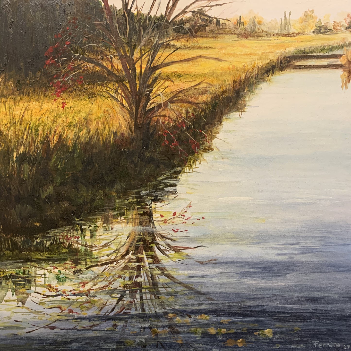 “Reflections”, XXL
